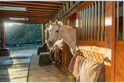 3055A Spring Hill Drive, Monroe, GA 30656 - Photo 51