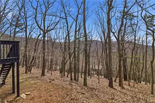 88 Bee Tree Ridge Ct, Jasper, GA 30143 - Photo 57