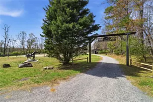 88 Bee Tree Ridge Ct, Jasper, GA 30143 - Photo 63