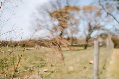 9048 Highway 334, Nicholson, GA 30565 - Photo 51