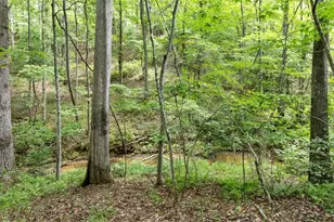 120 Brookhaven Trl, Blue Ridge, GA 30513 - Photo 89