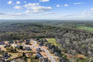 787 Reece Dr, Hoschton, GA 30548 - Photo 85