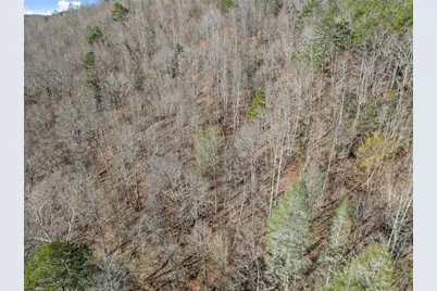 Lot 6 Sweet Apple Lane, Dahlonega, GA 30533 - Photo 7