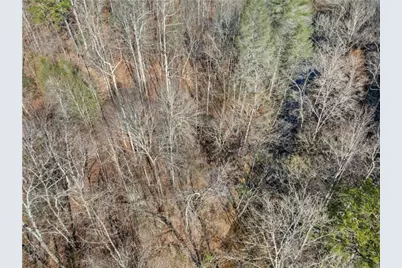 Lot 6 Sweet Apple Lane, Dahlonega, GA 30533 - Photo 9