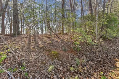 Lot 6 Sweet Apple Lane, Dahlonega, GA 30533 - Photo 1