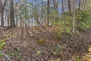 Lot 6 Sweet Apple Ln, Dahlonega, GA 30533 - Photo 1