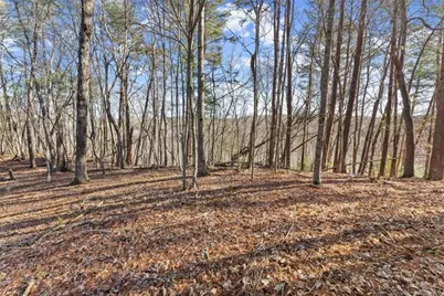 Lot 6 Sweet Apple Lane, Dahlonega, GA 30533 - Photo 3