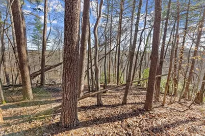 Lot 6 Sweet Apple Lane, Dahlonega, GA 30533 - Photo 5