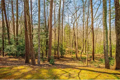 240 Christy Lane, Dahlonega, GA 30533 - Photo 91