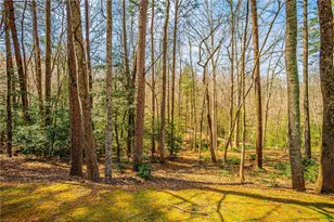 240 Christy Ln, Dahlonega, GA 30533 - Photo 91