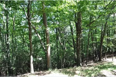 64 Wrens Nest, Big Canoe, GA 30143 - Photo 13