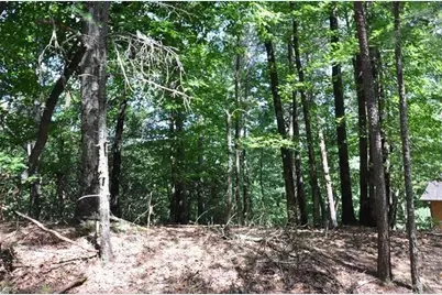 64 Wrens Nest, Big Canoe, GA 30143 - Photo 7