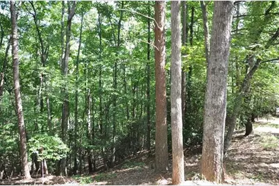 64 Wrens Nest, Big Canoe, GA 30143 - Photo 11