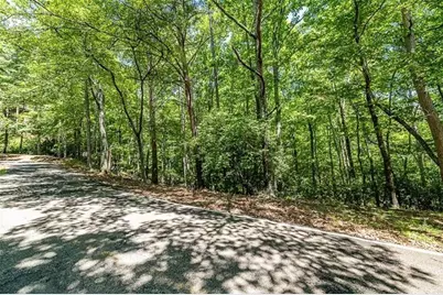 64 Wrens Nest, Big Canoe, GA 30143 - Photo 5