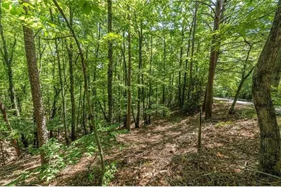 64 Wrens Nest, Big Canoe, GA 30143 - Photo 17