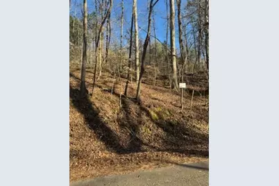 0 Santa Claus Rd, Cedartown, GA 30125 - Photo 7