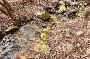 8072 Doublehead Gap Rd, Blue Ridge, GA 30513 - Photo 7