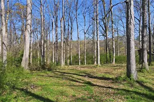 143 Fowler Freeman Ln, Danielsville, GA 30633 - Photo 31