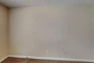 1278 Lynx Ct, Hampton, GA 30228 - Photo 9