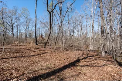 235 Cecil Jackson Road, Griffin, GA 30223 - Photo 35