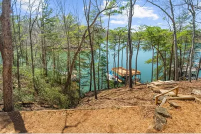 9230 Four Mile Creek Road, Gainesville, GA 30506 - Photo 57