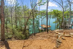 9230 Four Mile Creek Rd, Gainesville, GA 30506 - Photo 57