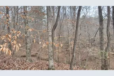 00Lot3 N Helton Road, Douglasville, GA 30135 - Photo 3