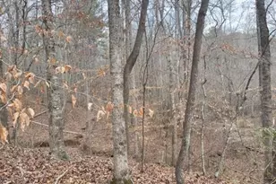 00Lot4 N Helton Rd, Winston, GA 30187 - Photo 3