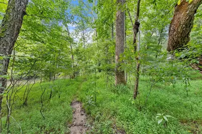 0 Lewis Grindle Parcel 1 Road, Dahlonega, GA 30533 - Photo 11