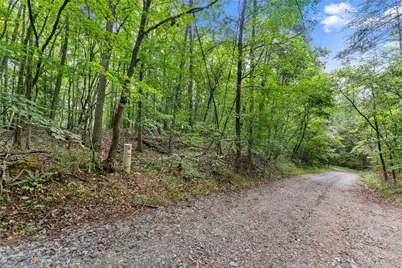 0 Lewis Grindle Parcel 1 Road, Dahlonega, GA 30533 - Photo 9