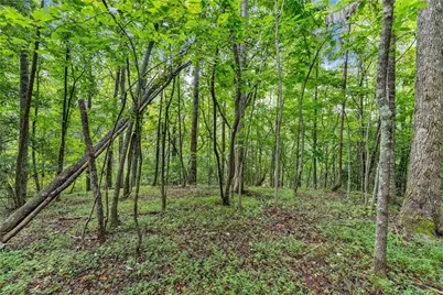 0 Lewis Grindle Parcel 1 Road, Dahlonega, GA 30533 - Photo 7