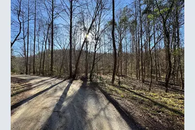 0 Lewis Grindle Parcel 1 Road, Dahlonega, GA 30533 - Photo 11