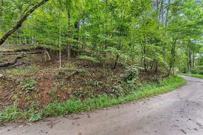 0 Lewis Grindle Parcel 1 Road, Dahlonega, GA 30533 - Photo 13