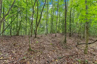 0 Lewis Grindle Parcel 1 Road, Dahlonega, GA 30533 - Photo 19
