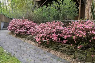 15 Huntcliff Ridge, Cleveland, GA 30528 - Photo 37