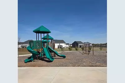 1029 Climbing Rose Way, McDonough, GA 30253 - Photo 17