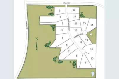 132 Patillo Manor, Stockbridge, GA 30281 - Photo 3