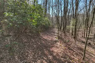 29 Robert Dr, Ellijay, GA 30536 - Photo 51