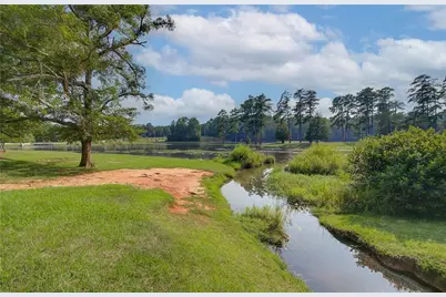 117 Homesite Saddle Drive, Senoia, GA 30276 - Photo 37