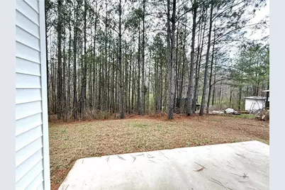 87 Mineral Springs Lane, Newnan, GA 30263 - Photo 27