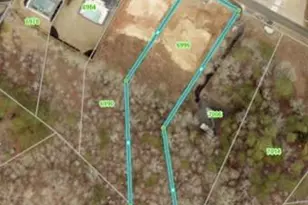 6996 Deaton Henry Rd, Flowery Branch, GA 30542 - Photo 65