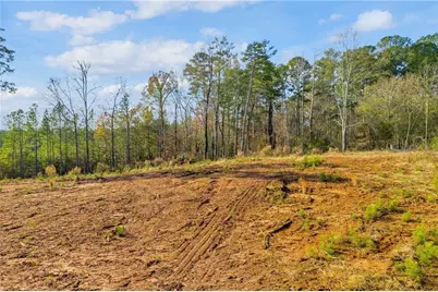 204 Line Street, Buford, GA 30518 - Photo 23