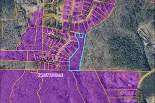 0 East Of Burch Rd, Fayetteville, GA 30215 - Photo 1