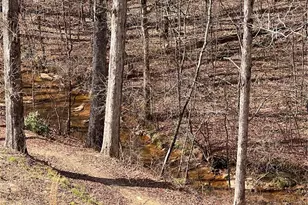 269 Grand Cir, Jasper, GA 30143 - Photo 41