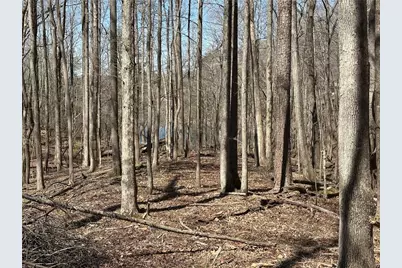 Lt2340 Tamarack Drive, Jasper, GA 30143 - Photo 7