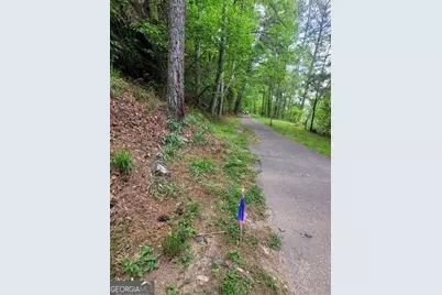 0 Lake Arrowhead Drive, Waleska, GA 30183 - Photo 11