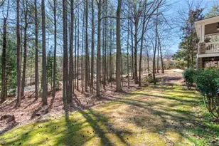 10 Clydesdale Trail, White, GA 30184 - Photo 85