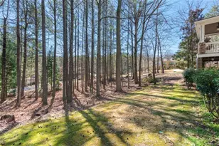 10 Clydesdale Trail, White, GA 30184 - Photo 63