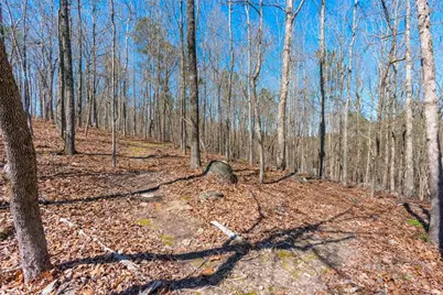 10 Clydesdale Trail, White, GA 30184 - Photo 85