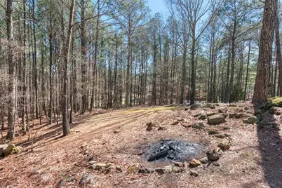 10 Clydesdale Trail, White, GA 30184 - Photo 65